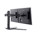 iiyama Monitorbeugel DS1002D-B1