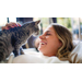 Philips Automatische voerbak PAW5320/02 Donkergrijs