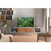 TCL 43" QLED S5L (2026)