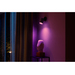 Philips Hue Fugato Opbouwspot White and Color - Zwart - 1-spot