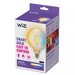 WiZ Smart Filament lamp Globe XL - Warm tot Koelwit Licht - E27