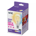 WiZ Globe Filament - Warm tot Koelwit Licht - E27 - Transparant