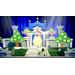 Princess Peach Showtime
