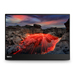 Lenovo ThinkVision M14t monitor de computadora 35.6 cm (14") 2240 x 1400 Pixeles 2.2K LED Pantalla táctil Negro