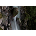 Canon RF 28-70mm f/2.8 IS STM