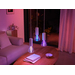 Philips Hue Lightguide Triangle White and Color E27