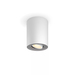 Philips Hue Pillar Opbouwspot White Ambiance - Wit - 1-spots