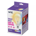 WiZ Globe XL Filament - Warm tot Koelwit Licht - E27 - Transparant