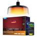 Govee Pendant Light