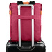 Vorago BP-301-MA mochila City backpack Café