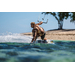 Shokz OpenSwim Pro USB-C Grijs