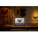 ASUS TUF Gaming A18 FA808UM-S8069W