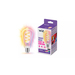 WiZ Edison Filament lamp- Gekleurd en wit licht - E27