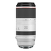 Canon RF 100-500mm f/4.5-7.1L