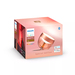 Philips Hue Iris White and Color Special Edition Koper