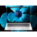 Laptop HP EliteBook X Flip G1i U5 228V 512GB/32GB/W11P/14.0