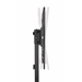 Manhattan Vloerstandaard voor TV’s en monitoren (ultraslank), voetmontage, voor schermen 37"–55", VESA-compatibiliteit: van 200x200 tot 400x400 mm (controleer de afmetingen van de vier montagegaten aan de achterzijde), max. 40 kg, zwart