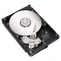 Seagate Desktop HDD Barracuda ES.2 SATA 3.0-Gb/s 500-GB HD 20pk internal hard drive 500 GB 7200 RPM 32 MB Serial ATA II