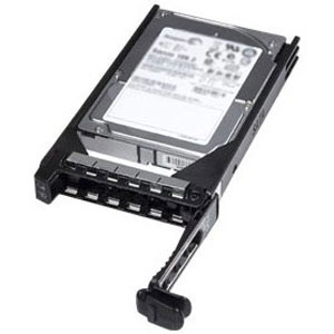 DELL 500GB Near-Line SAS 6Gbps 7.2k 3.5" internal hard drive 7200 RPM 3.5"