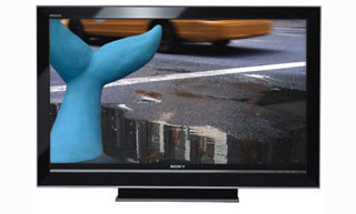 Sony LCD TV KDL-40V3 