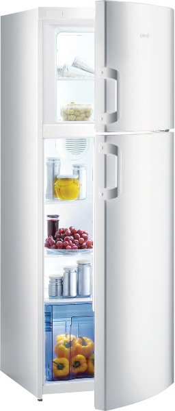 Gorenje RF60309DW — vue 1 sur 1