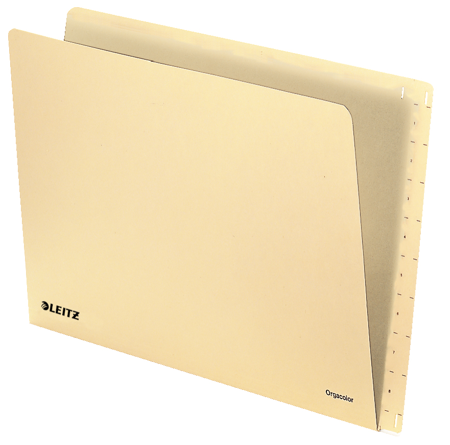 Leitz 24320011 cartella sospesa e accessorio Cartone