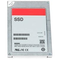 DELL 400-22074 internal solid state drive 256 GB Serial ATA II
