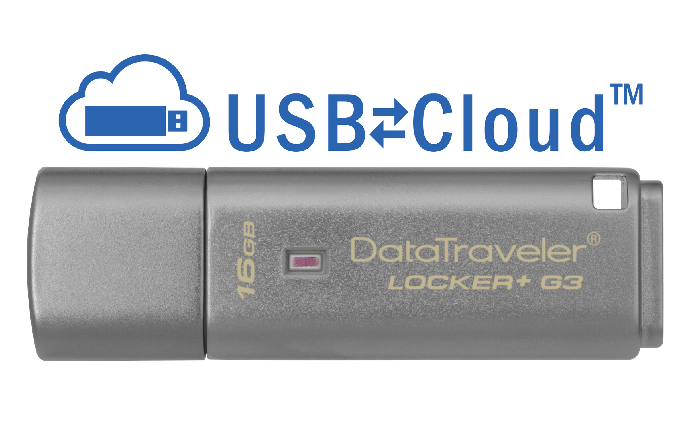 Pen drive 3.0 16gb dtlpg3 encryptio hw kingston argento Pen drive 3.0 16gb dtlpg3 encryptio hw kingston argento