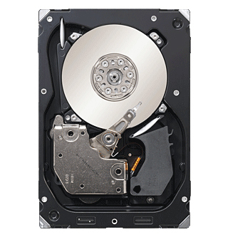 Seagate Cheetah ST3300056SS internal hard drive 300 GB 15000 RPM 3.5" SAS
