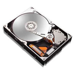 Seagate MaXLine MXT250GB-SATA2 internal hard drive 250 GB 7200 RPM 8 MB 3.5" Serial ATA II