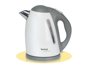 Tefal BI 6630 EXPRESS ICE WHITE 1,7 l — vue 1 sur 1