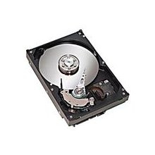 HP 455954-001 internal hard drive 160 GB 7200 RPM 2.5" Serial ATA