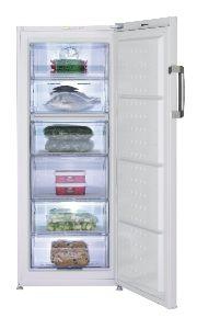 Beko FN 121920 — vue 1 sur 1