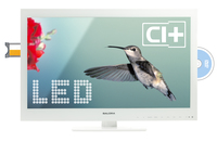 Salora Salora 22LED6115CDW Fernseher 55,9 cm (22") Full HD Weiß https://images.icecat.biz/img/norm/low/13701683-7783.jpg Salora Salora 22LED6115CDW Fernseher 55,9 cm (22") Full HD Weiß https://images.icecat.biz/img/norm/low/13701683-7783.jpg