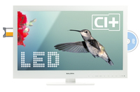 Salora Salora 24LED6115CDW Fernseher 61 cm (24") Full HD Weiß https://images.icecat.biz/img/norm/low/13701688-5840.jpg