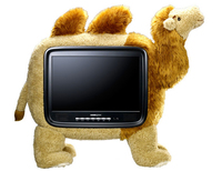 Hannspree Hannspree ST19CMAB Fernseher 48,3 cm (19 Zoll) WXGA https://images.icecat.biz/img/norm/low/15743_12059279-5600.jpg