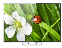 Haier Haier H6500 127 cm (50") 4K Ultra HD Schwarz https://images.icecat.biz/img/norm/low/22309686-3024.jpg Haier Haier H6500 127 cm (50") 4K Ultra HD Schwarz https://images.icecat.biz/img/norm/low/22309686-3024.jpg