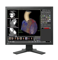 EIZO EIZO RadiForce RS210 54,1 cm (21.3 Zoll) 1600 x 1200 Pixel Schwarz https://images.icecat.biz/img/norm/low/9079585-8741.jpg