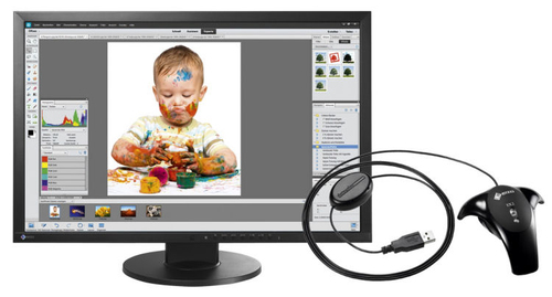 EIZO FlexScan EV2436W-Photo LED display 61,2 cm (24.1) 1920 x 1200 pikslit Full HD Must