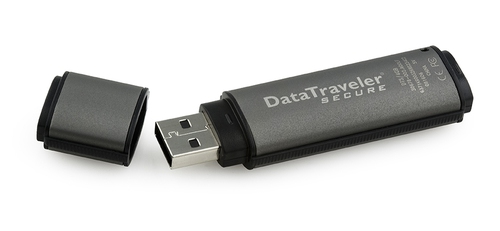 Kingston DataTraveler Secure - Unidad flash USB - 1 GB - USB 20 - DTS/1GB